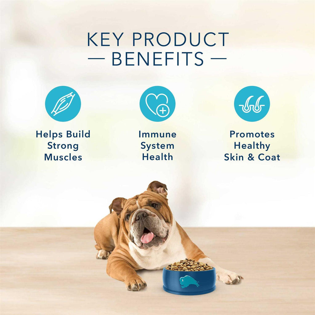 Salmon & Potato Dry Dog Food R164675