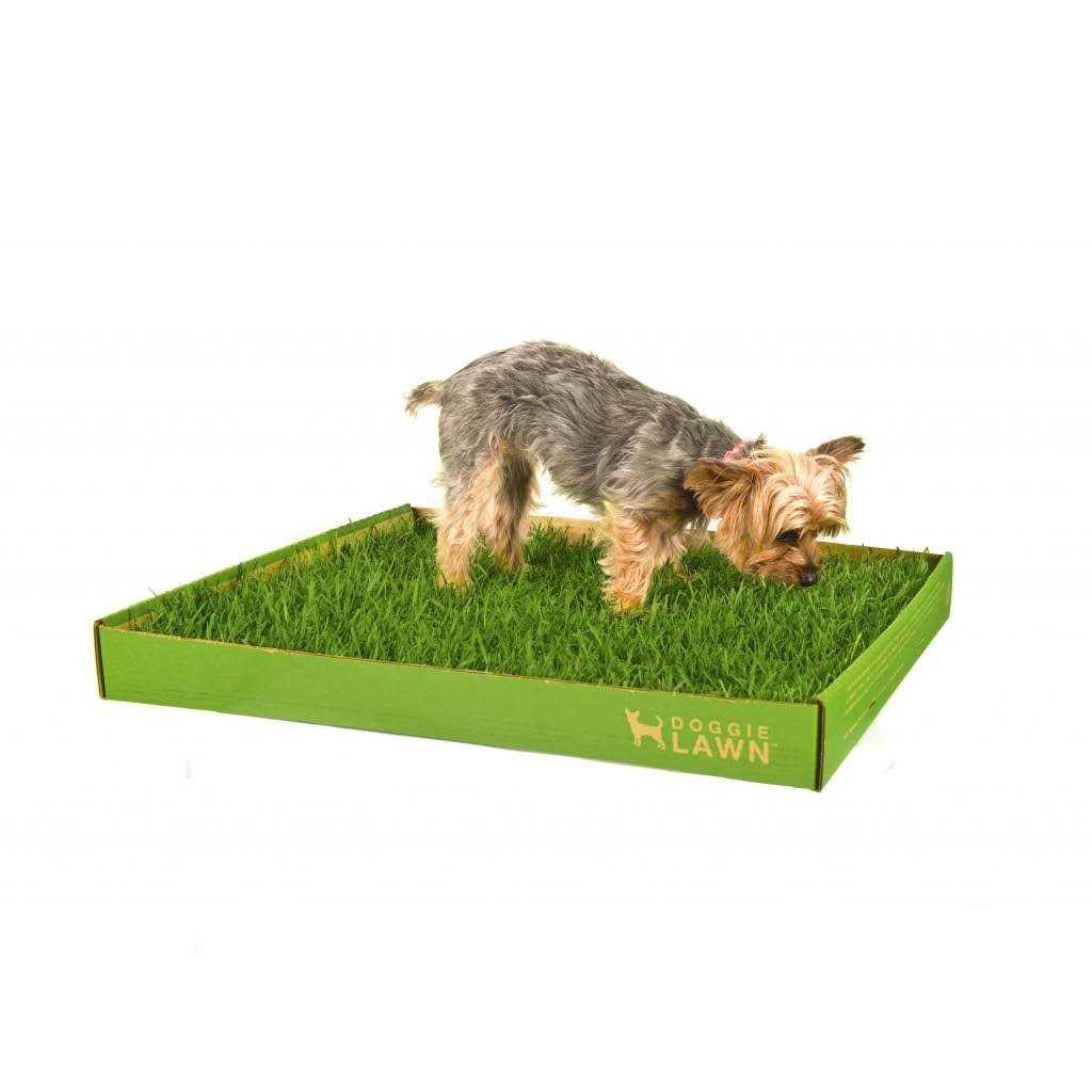 Real Grass Puppy Pee Pads N882404