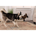 Platypus Dog Toy V9034