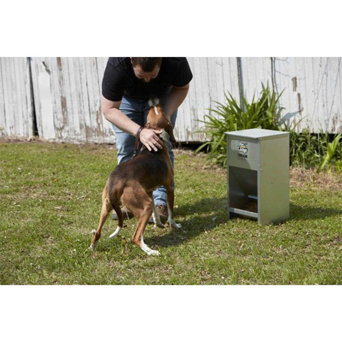 Dog Feeder Z162