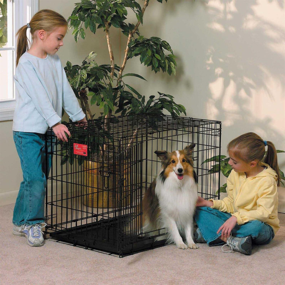 Double Door Dog Crate L163836