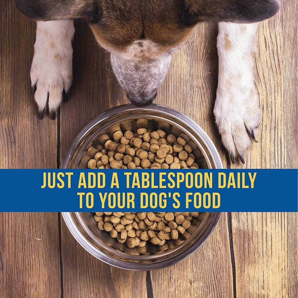 Liquid Supplement for Dogs H13210