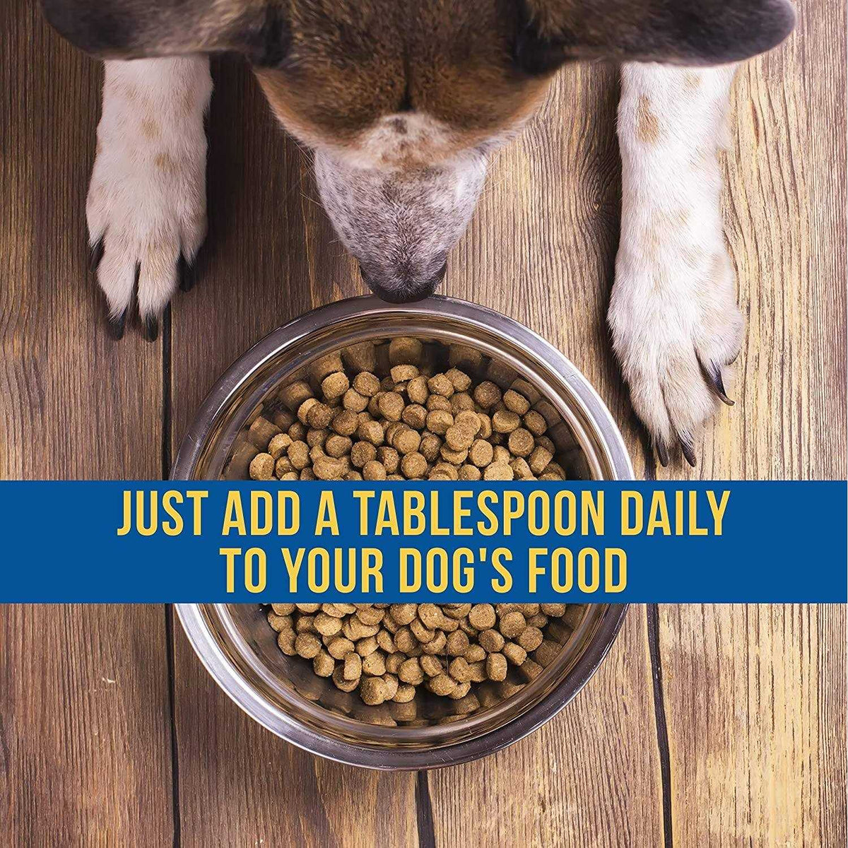 Liquid Supplement for Dogs H13210