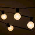 50 ft. 50-Light Globe String Light, Black Z2864