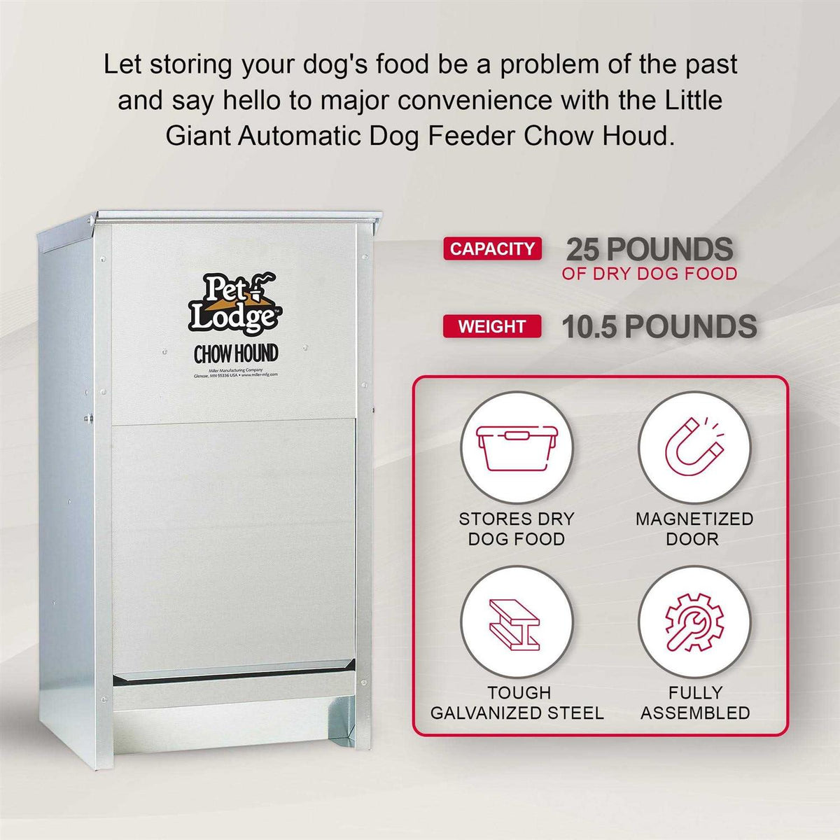 Dog Feeder Z162