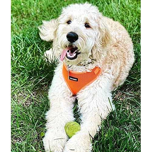Adjustable All Weather Mesh Step-in Pet Harness D32742