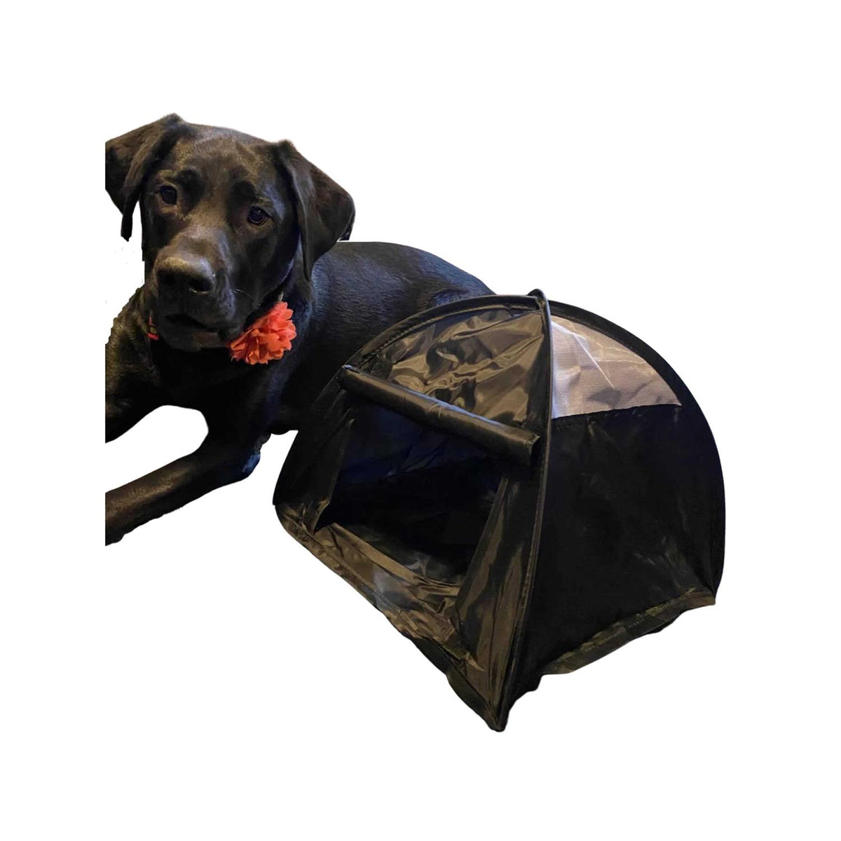 Pop Up Dog Tent Y327