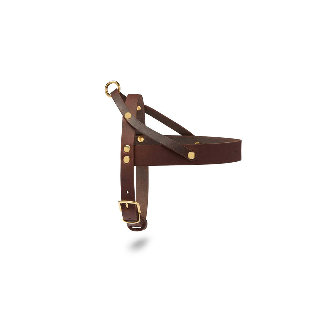 Leather Dog Harness B25443