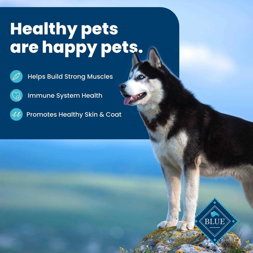 Adult Dry Dog Food J3850