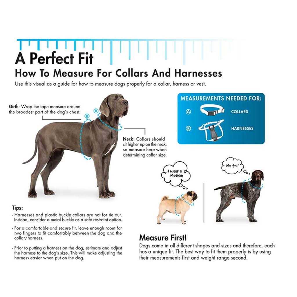 Nylon Pet Collar F419253