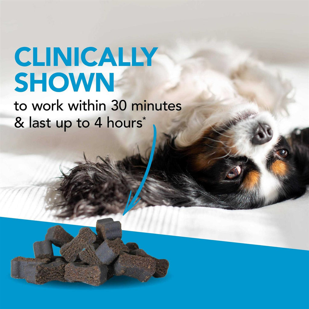 Dog Chews H14560
