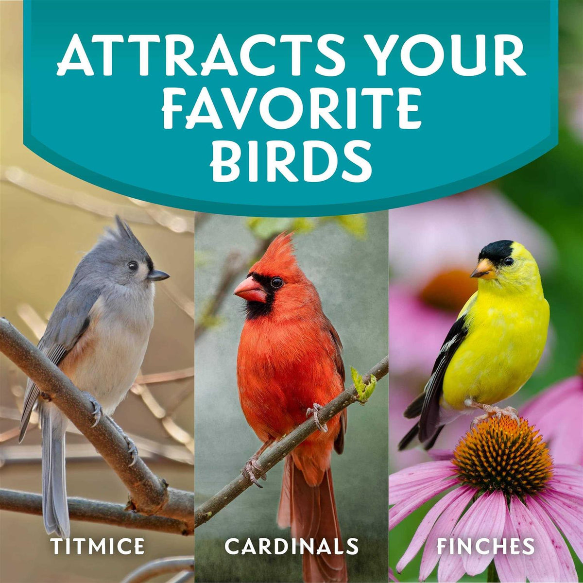 Wild Bird Food S7172