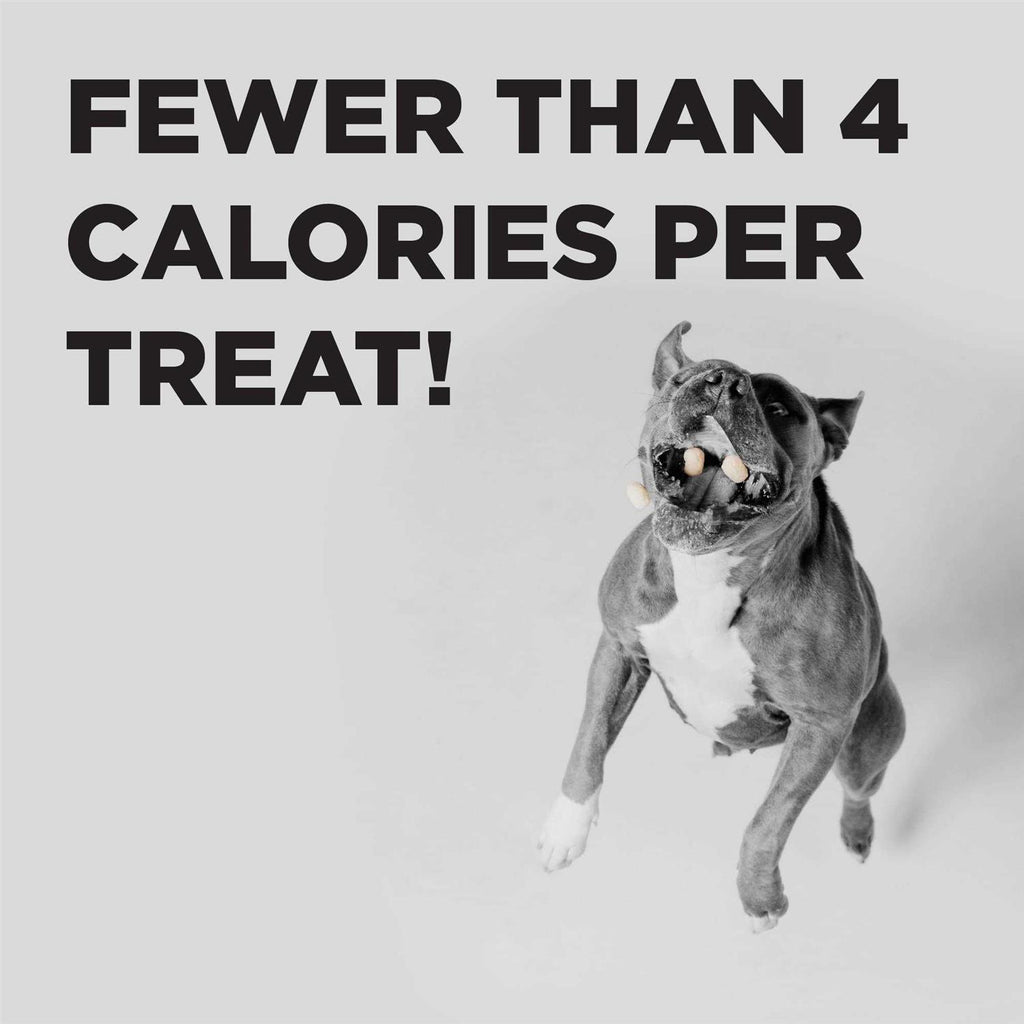 Dog Treats P6181
