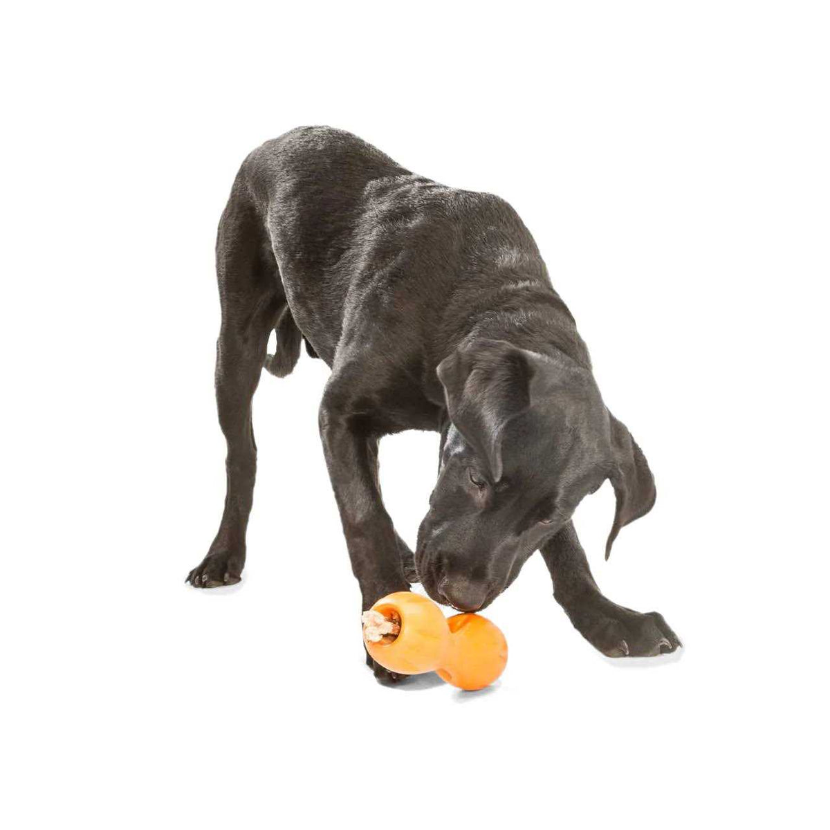 Dog Toy W575839