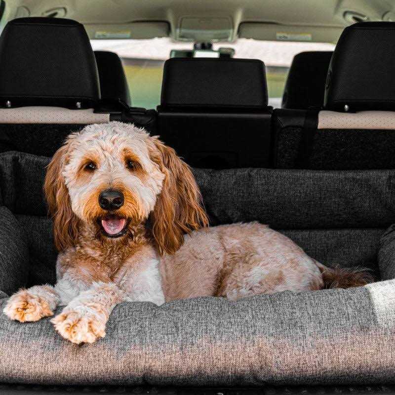 Memory Foam Dog Car Bed Gray T502
