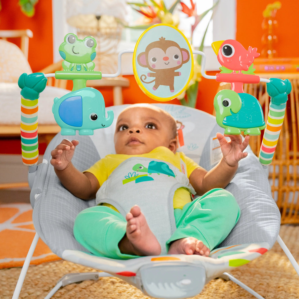 Vibrating Baby Bouncer W558