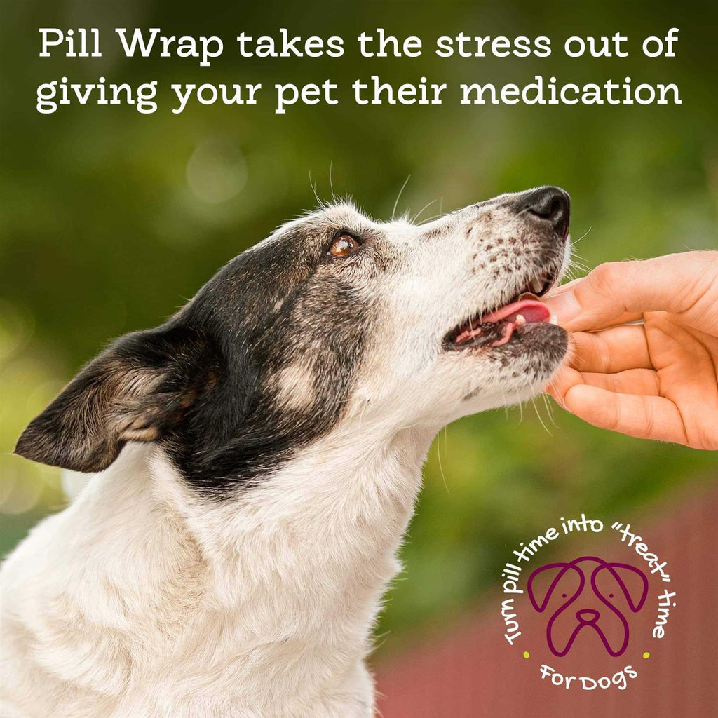 Peanut Butter Flavored Pill Paste for Dogs U426279