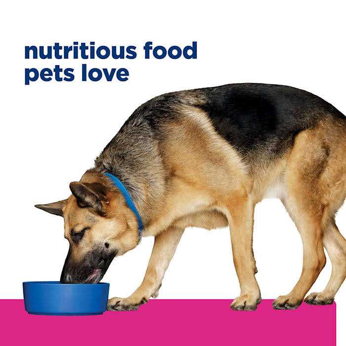 Chicken & Vegetable Stew Wet Dog Food T7578