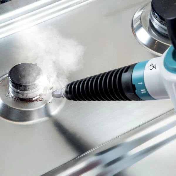 Portable Steam Cleaner P1600