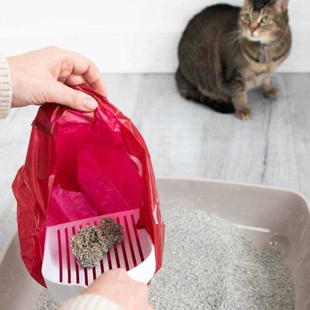 Lavender Scented Leak Proof Cat Litter Disposal Bags F56266