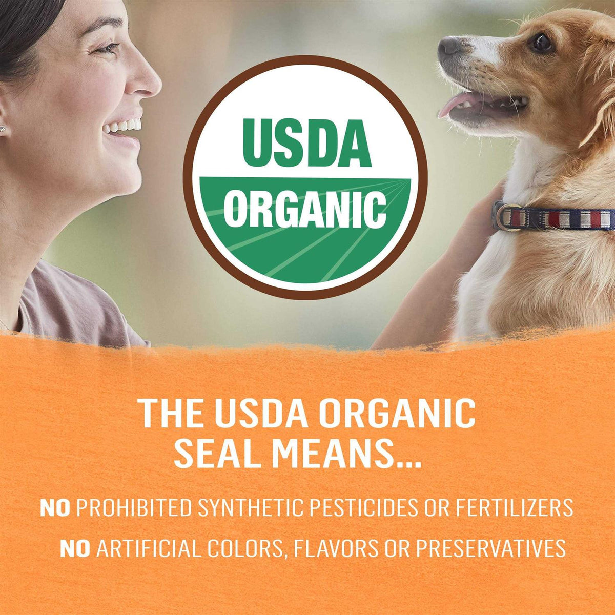 Organic Chicken Recipe Wet Dog Food N828758