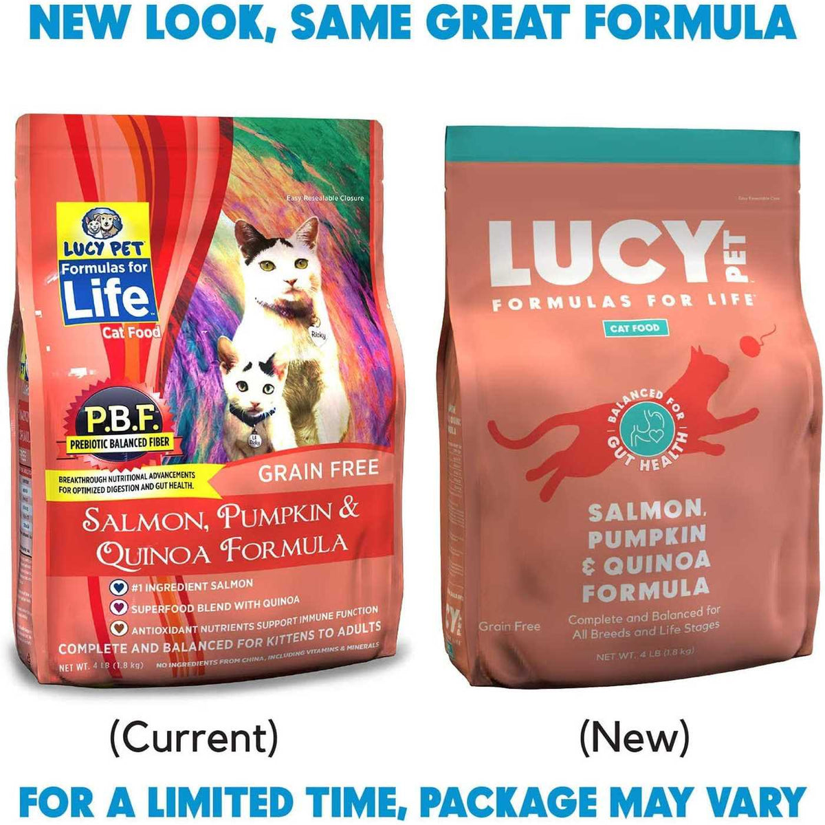 Dry Cat Food Salmon U574424