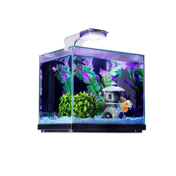 Glass Aquarium B5190