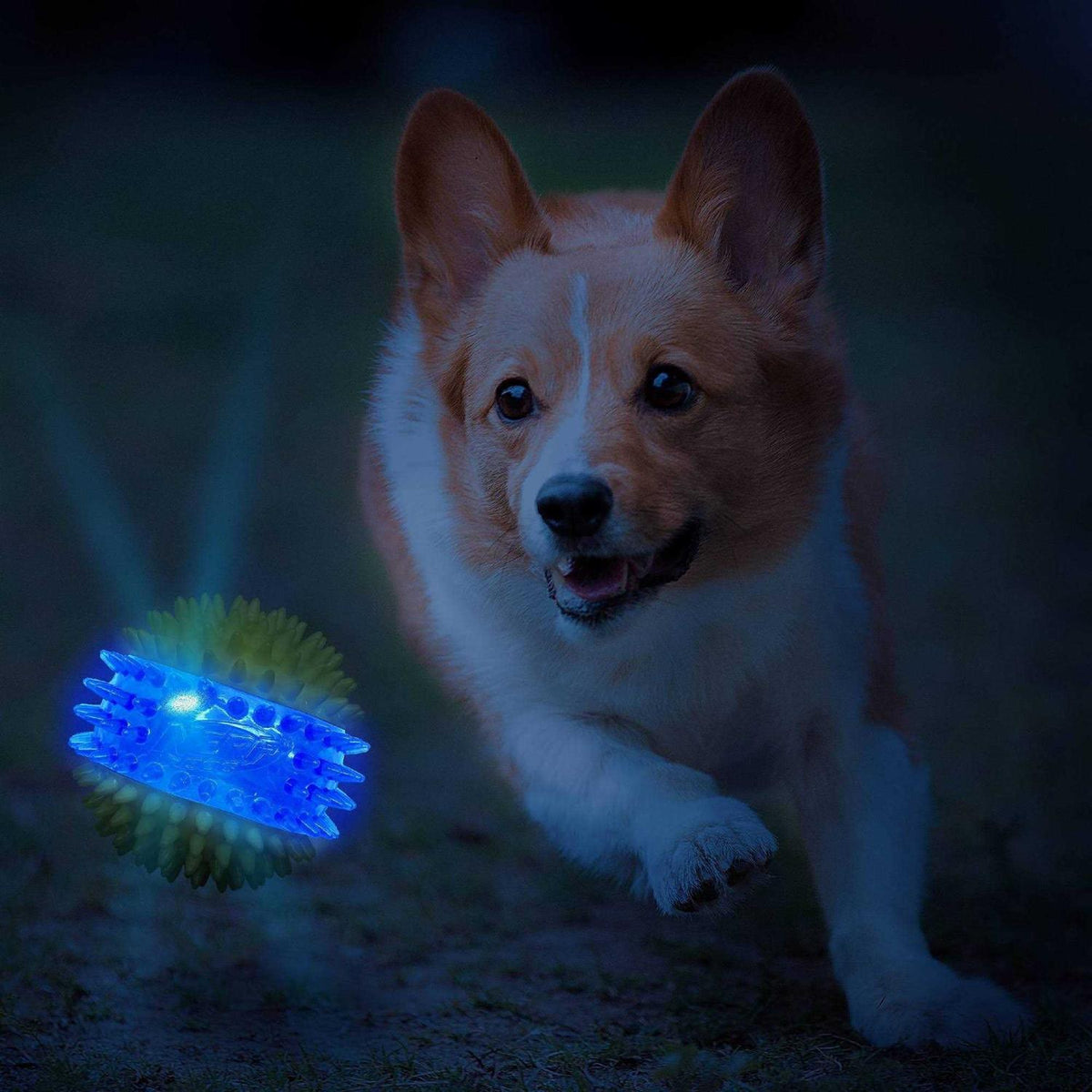 Translucent TPR 3-Part LED & Squeak Ball Dog Toy C6410