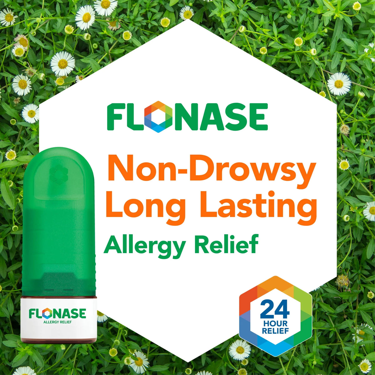 Allergy Relief 24 Hour Non-Drowsy Nasal Spray C78016