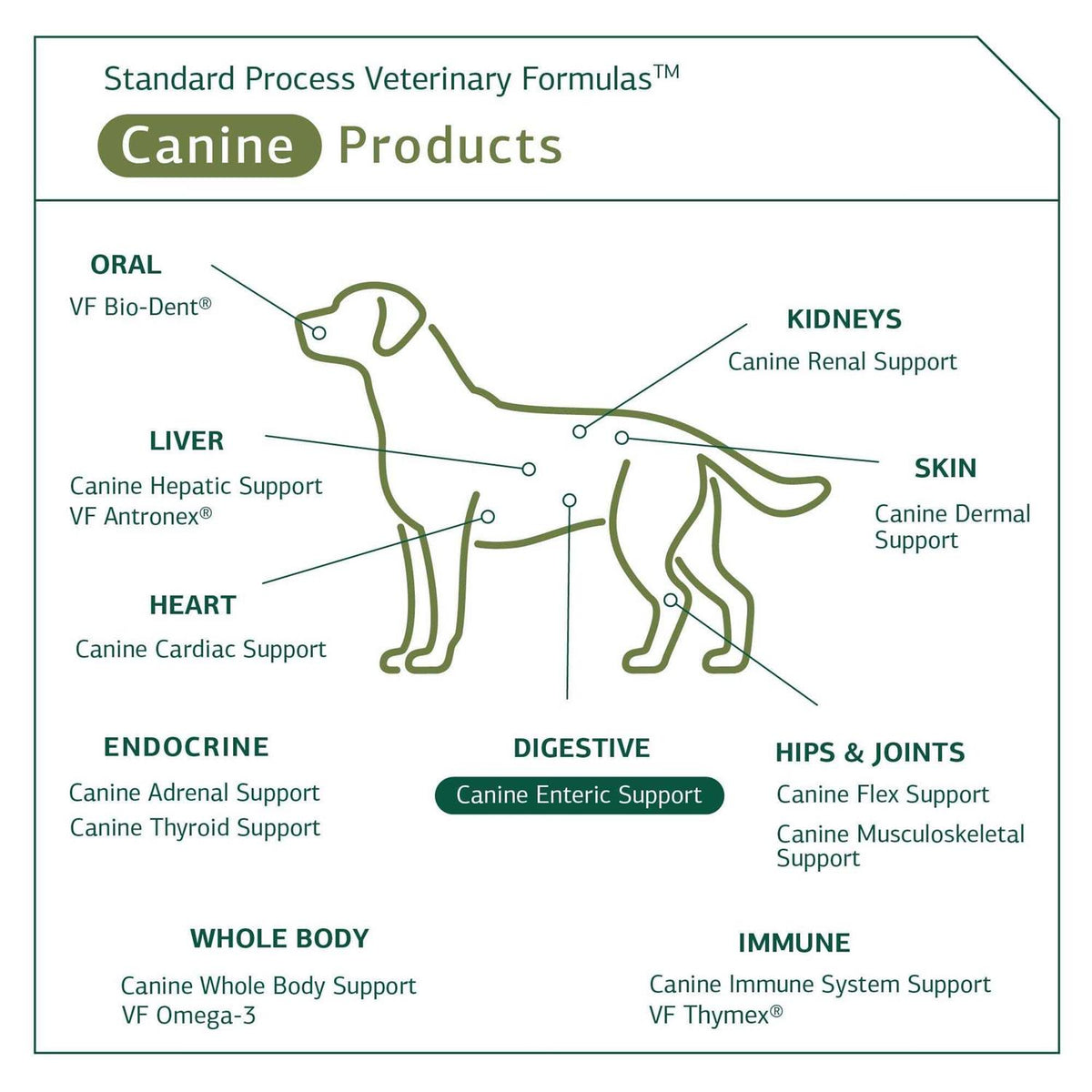Enteric Support K282