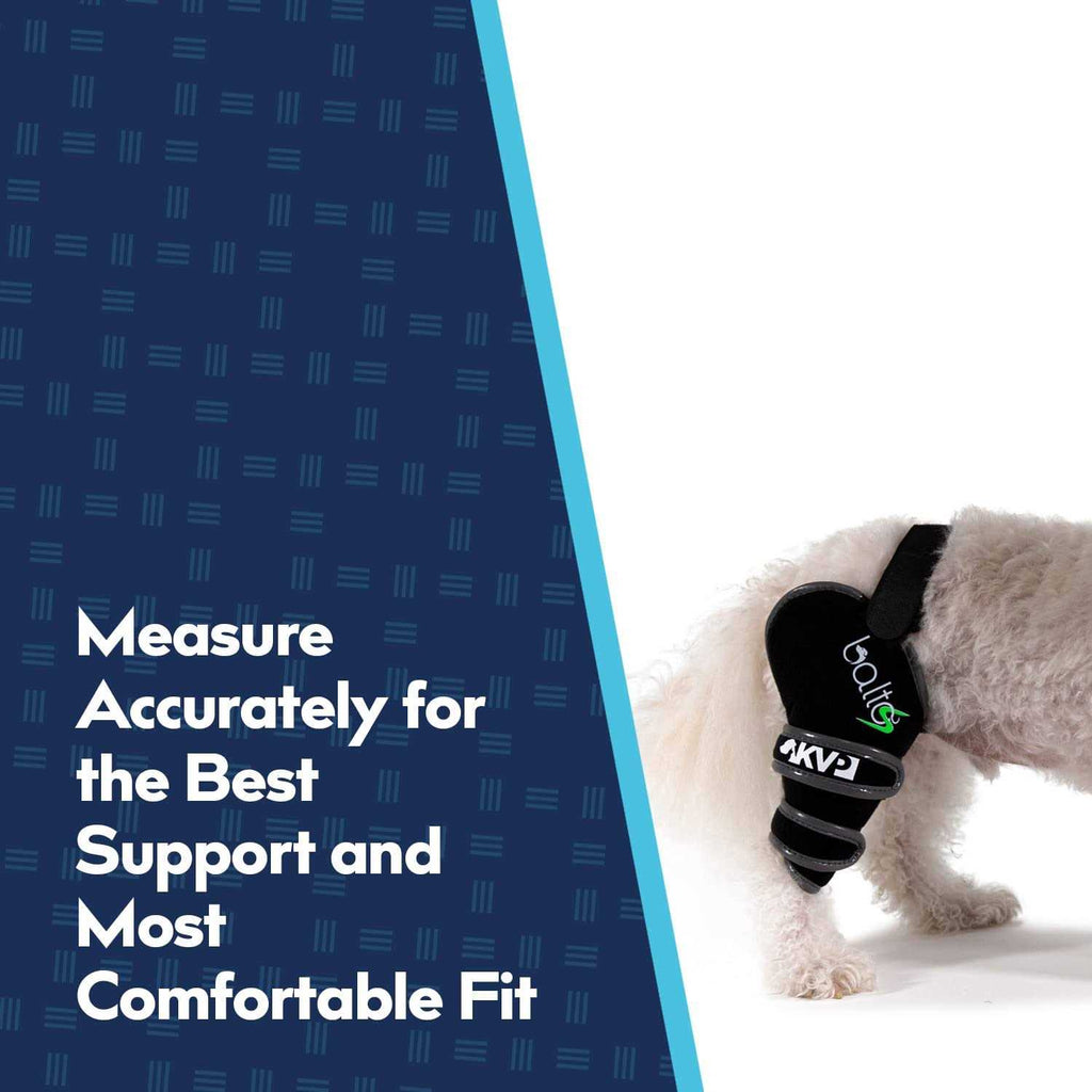 Knee Support for Dogs D534799