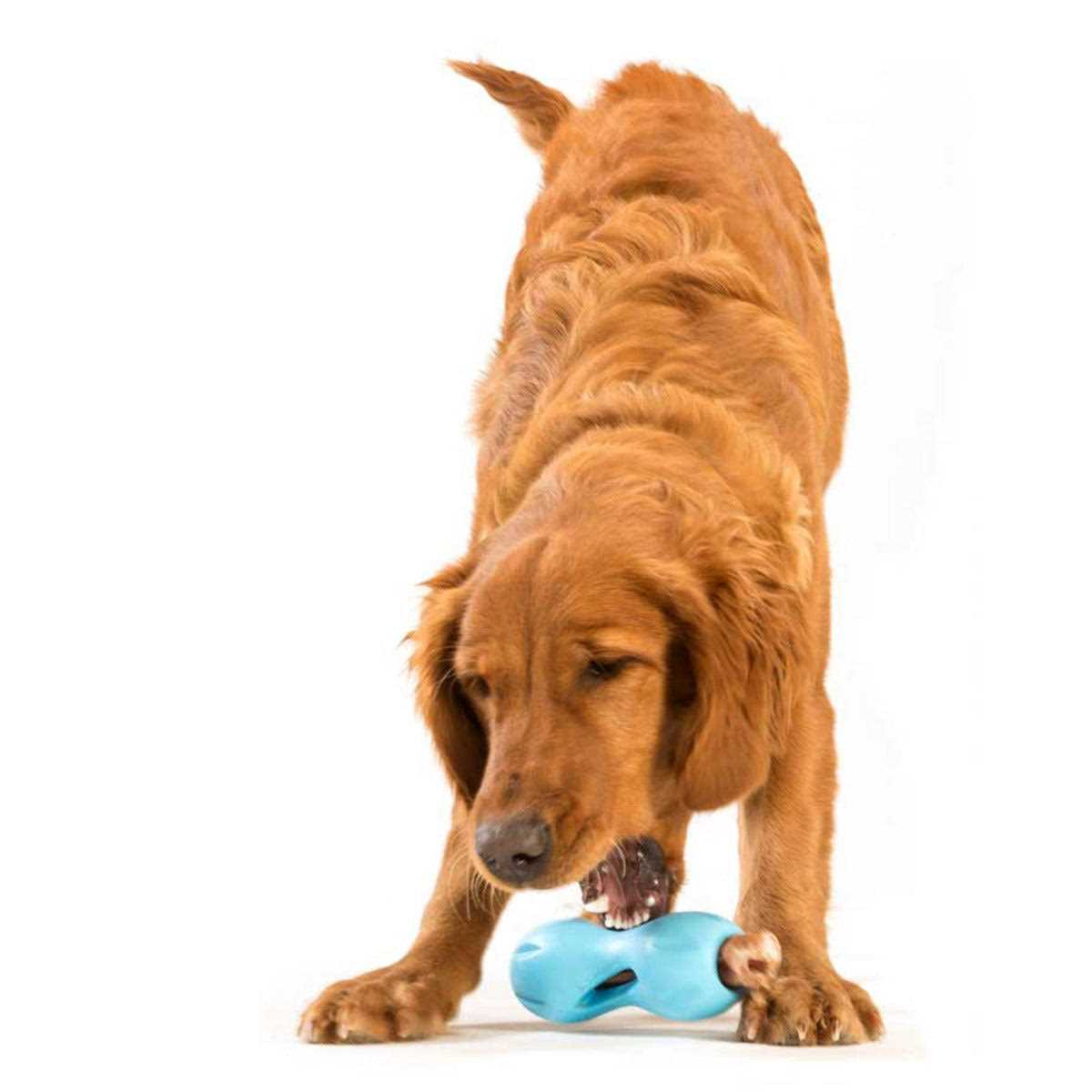 Dog Toy W575839