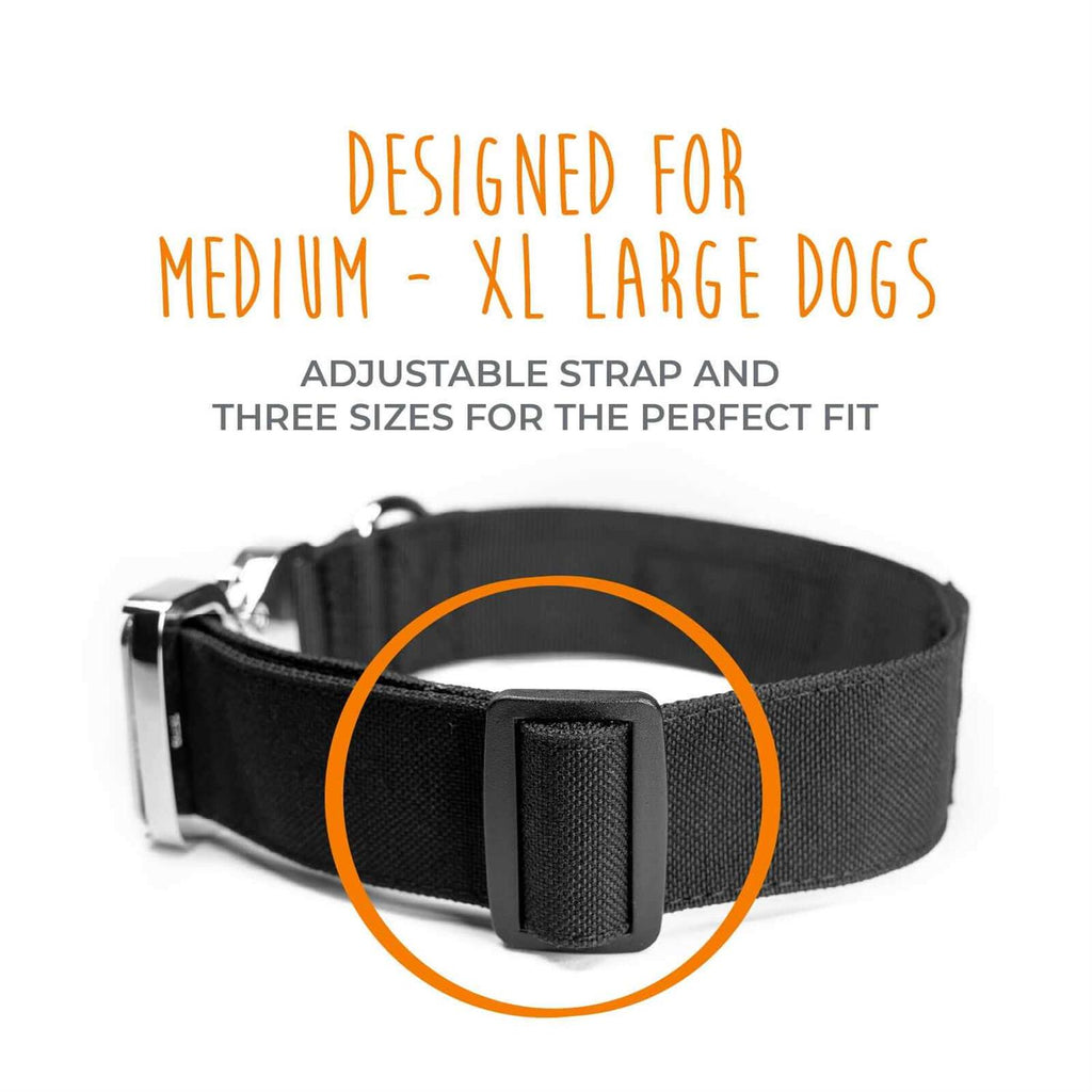Heavy Duty Dog Collar with Metal Buckle G290