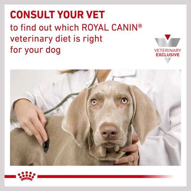 Selected Protein Adult Dry Dog Food M175089