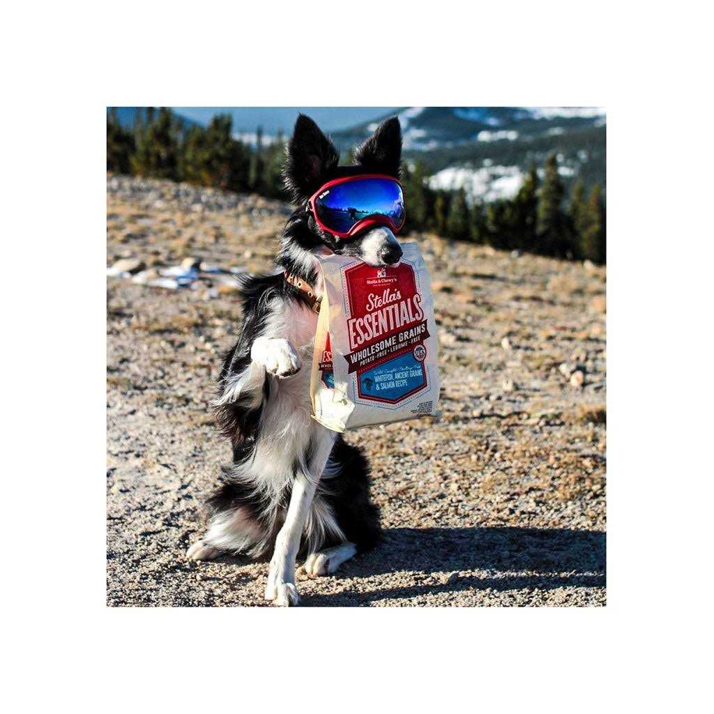 Dog Food T662537
