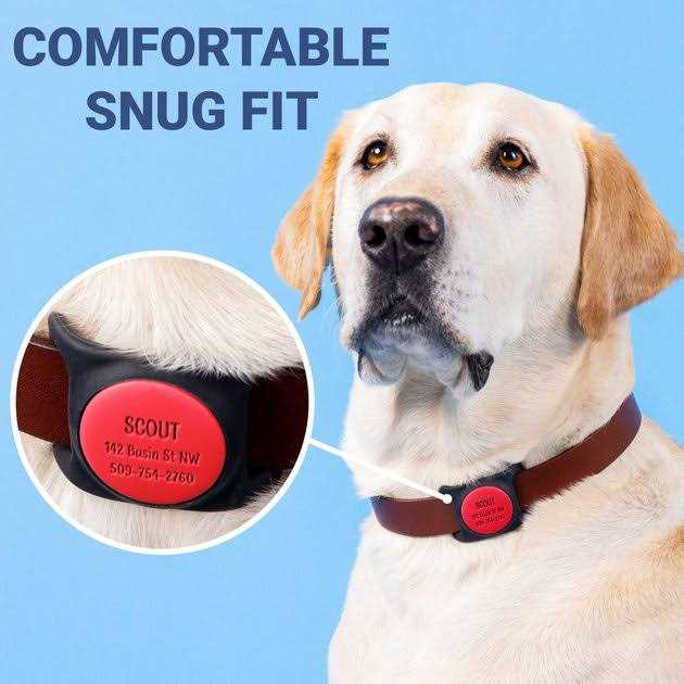 Engraved Dog & Cat Collar Holder A675