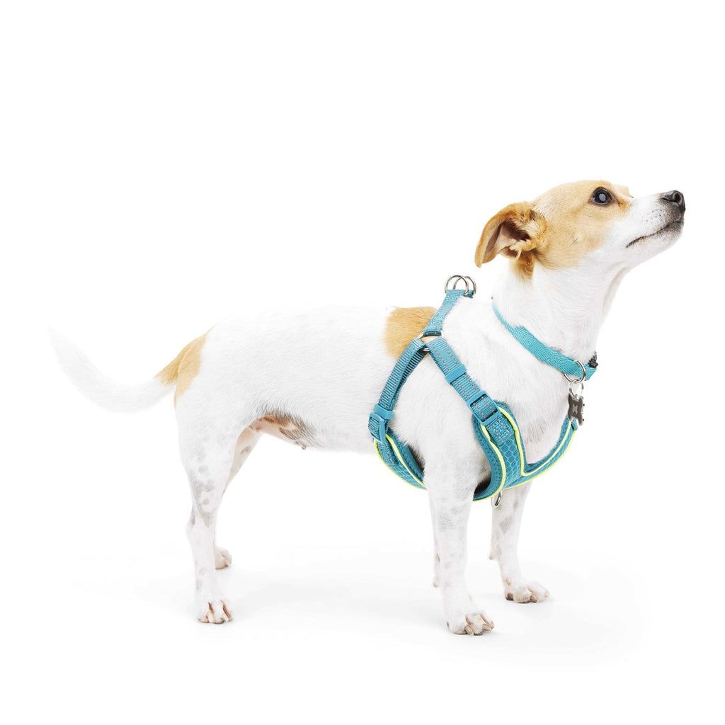 Reflective Dog Harness C940231