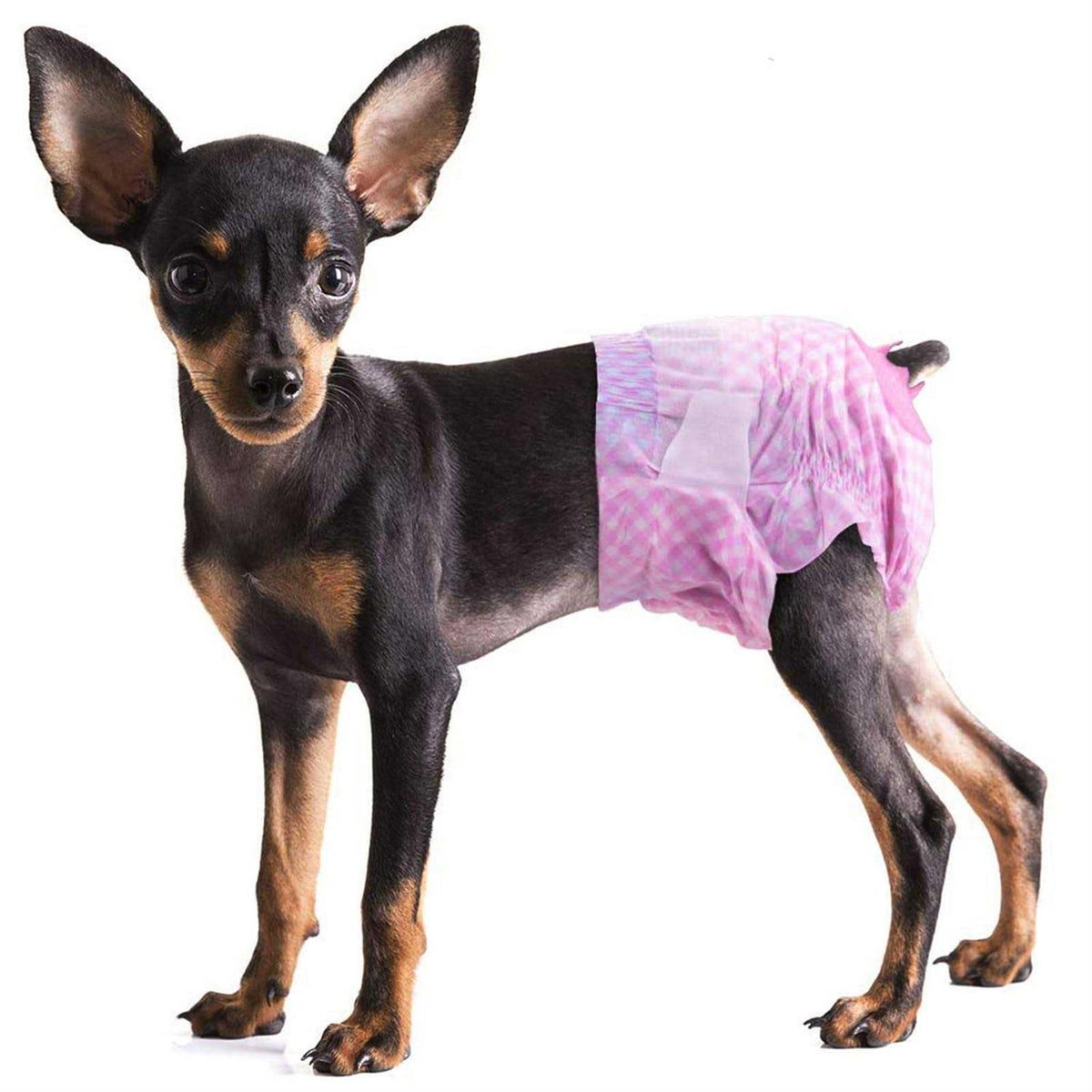 Soft Female Disposable Dog Diapers M81765