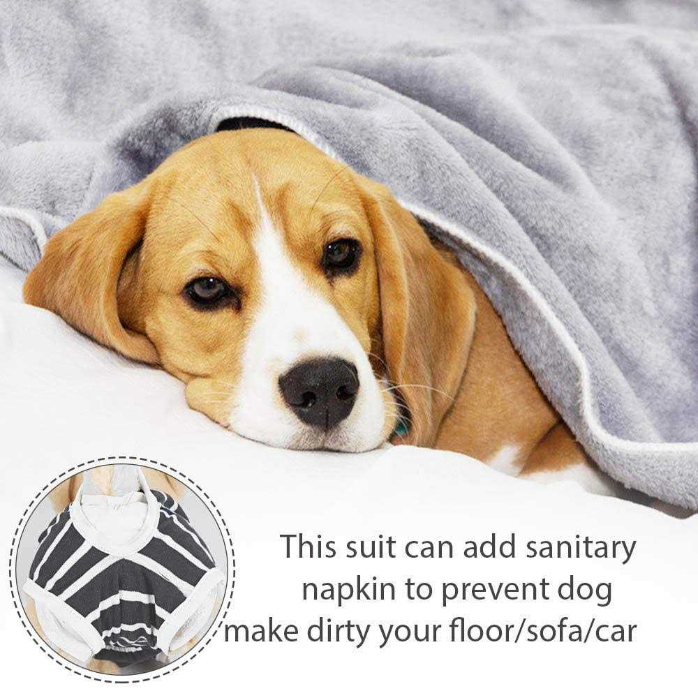 Dog Diapers Sanitary Panties Pet Recovery Suit Q447937