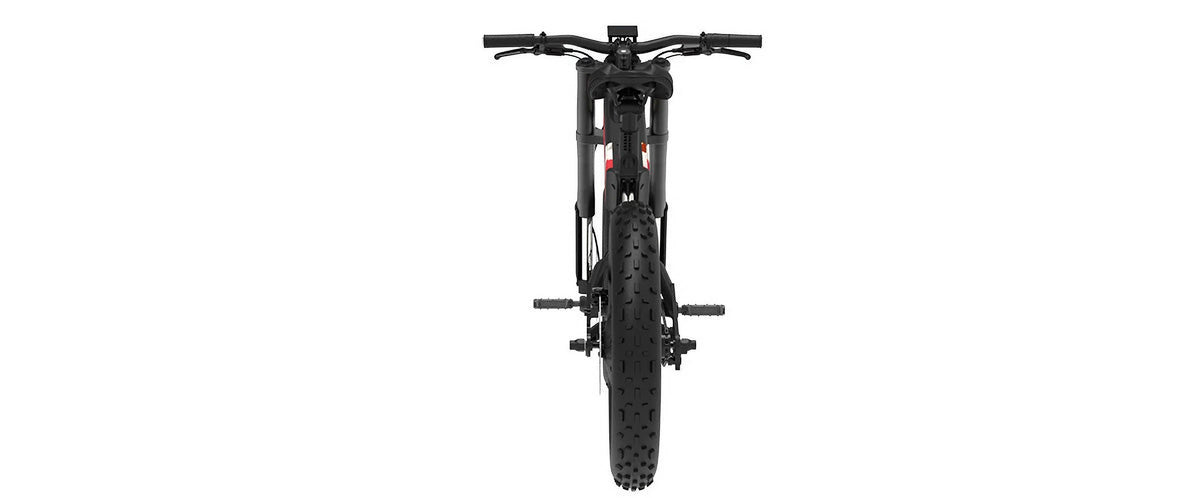 Fat Tire eBike K330804