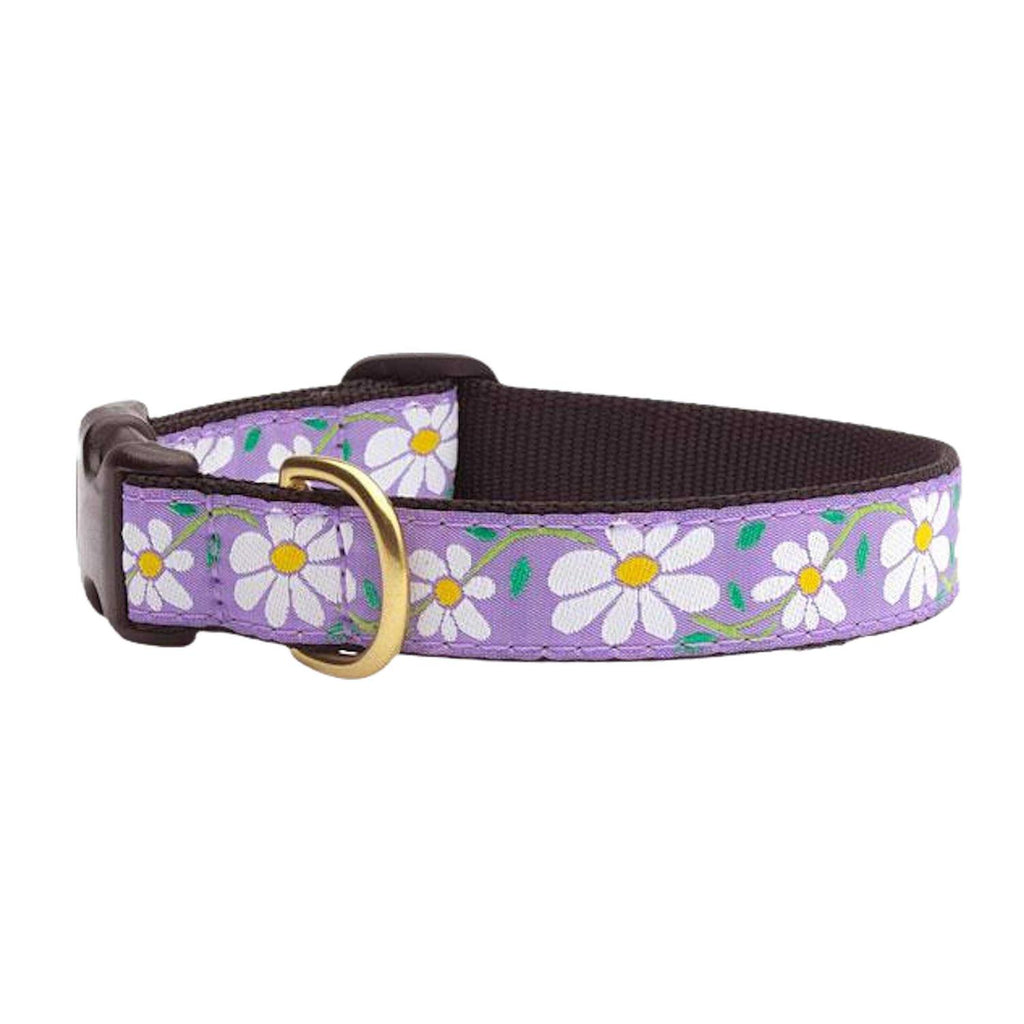 Dog Collar F77041
