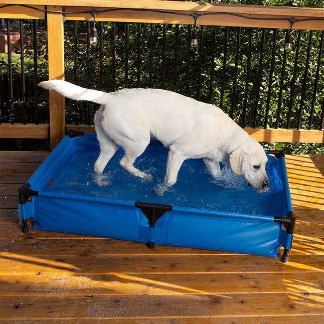 Pet Pool X7945