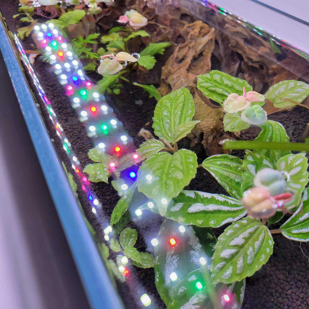 Full Spectrum LED Aquarium Light B222274