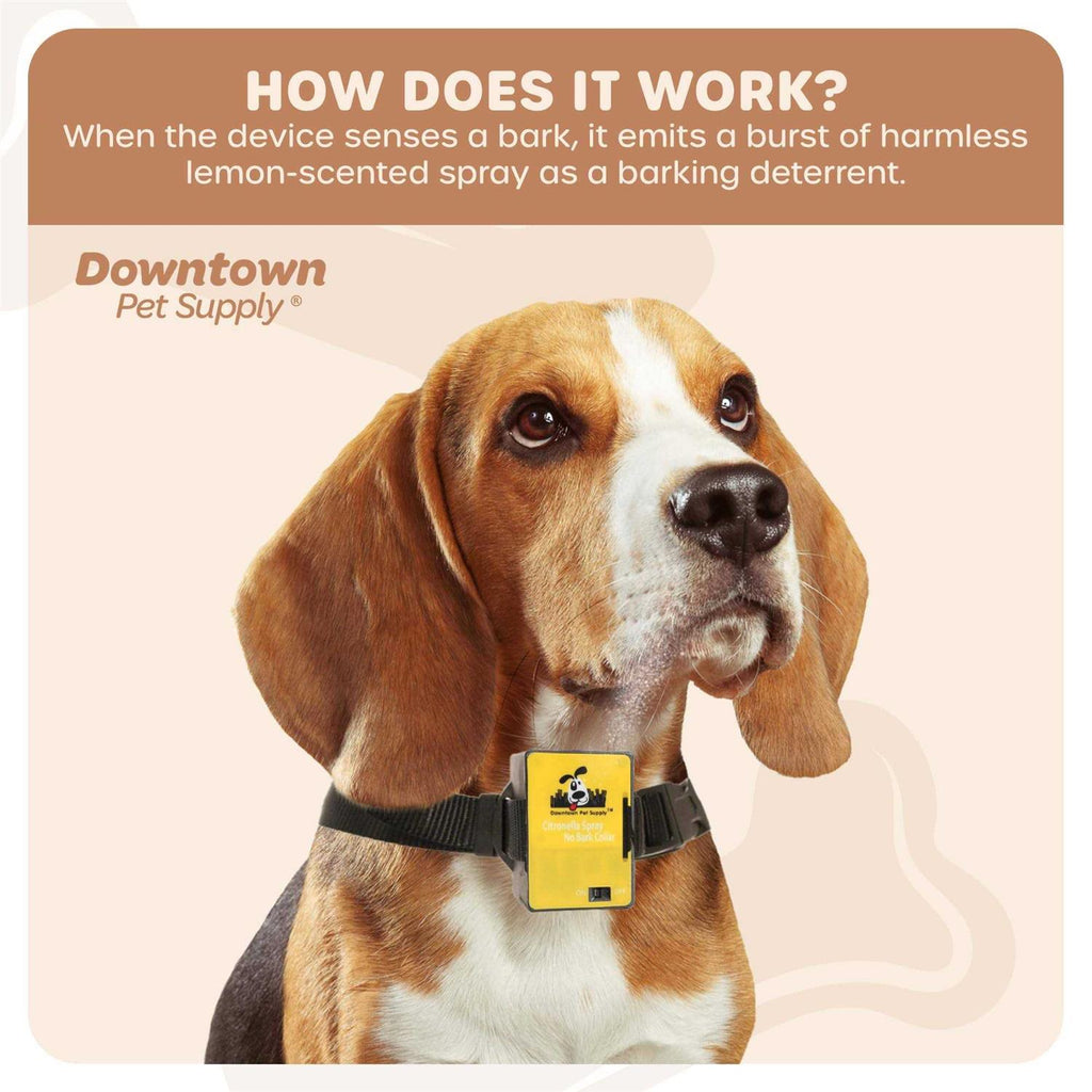 Citronella Bark Collar F42896