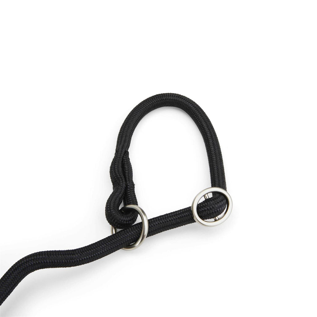Training Rope Slip Lead for Dogs R830903