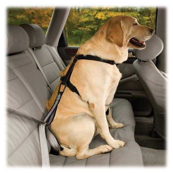 Seat Belt Tether with Carabiner Q25213