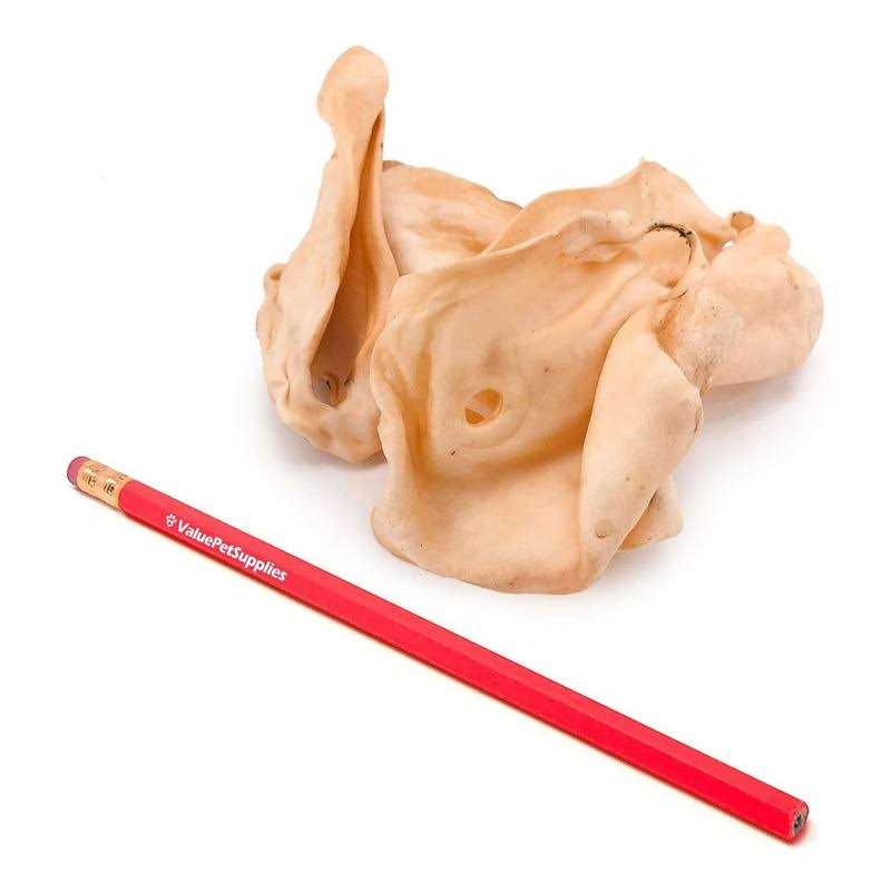 Cow Ears B3640