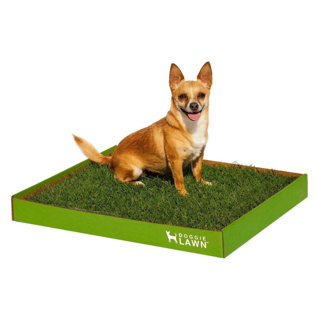 Real Grass Puppy Pee Pads N882404
