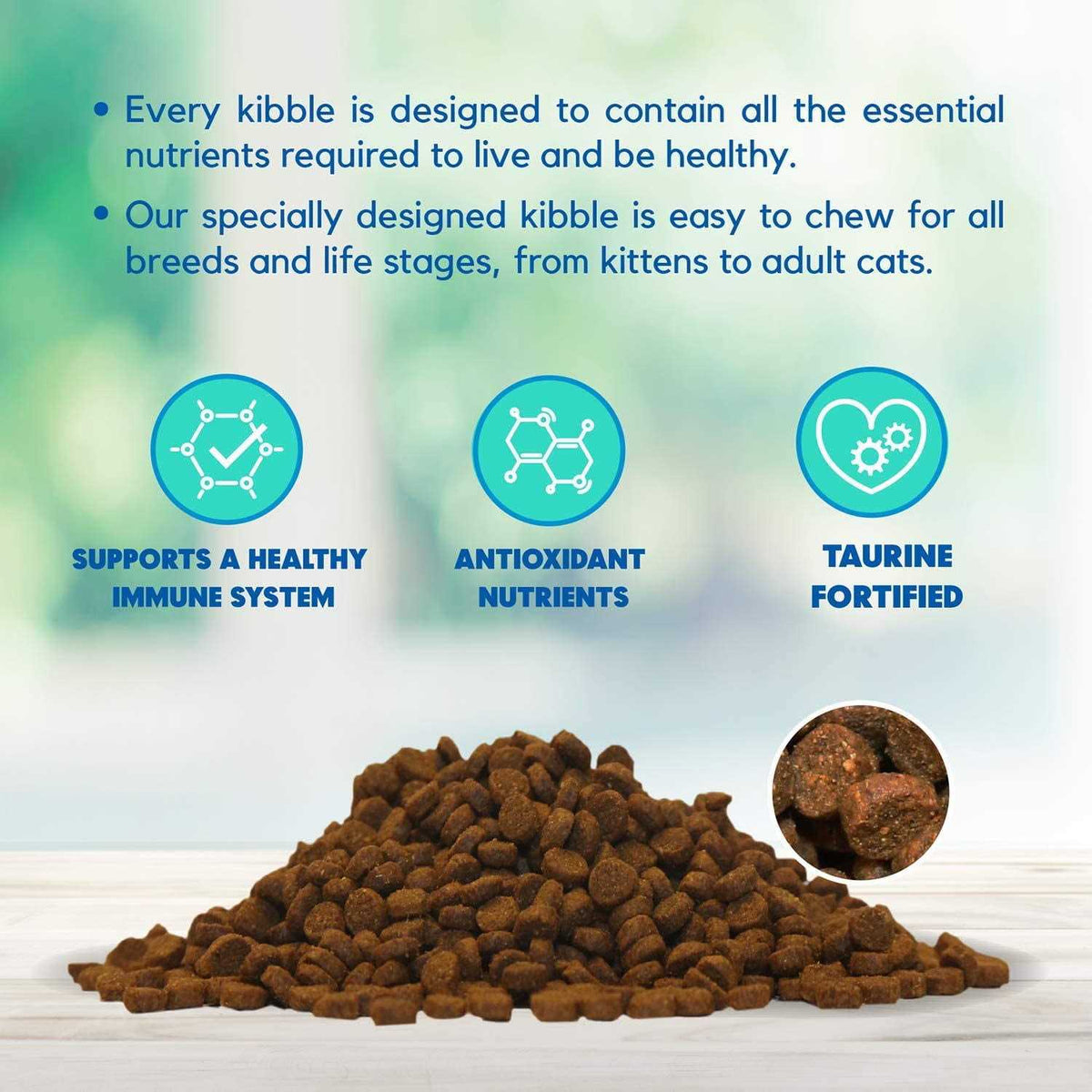 Dry Cat Food Salmon U574424