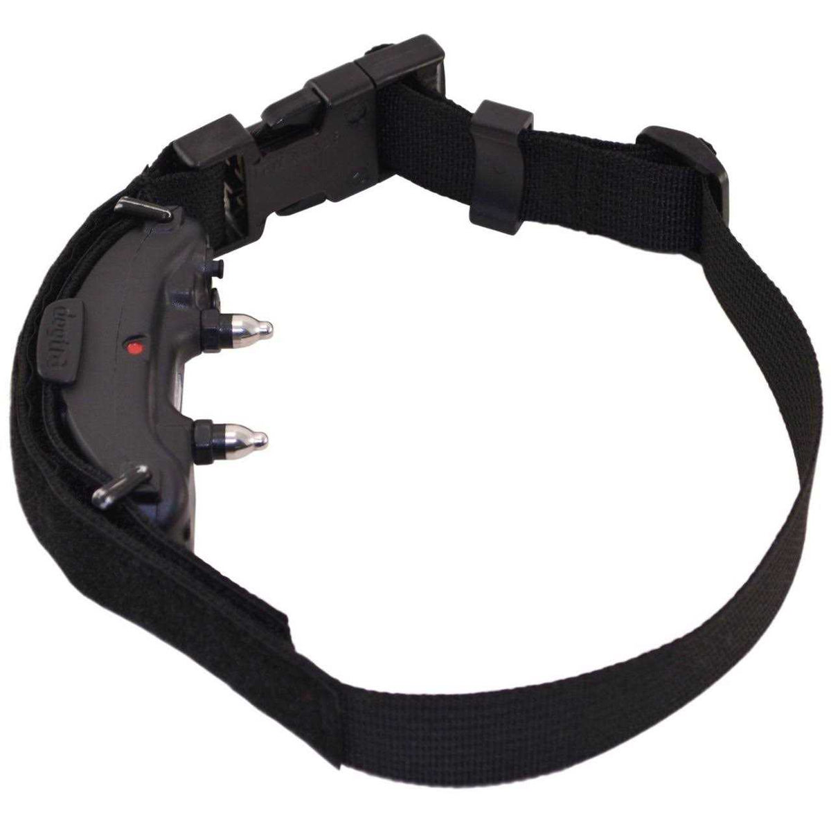 Collar I538